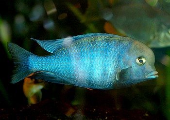 Rotterdam 16 April 2011 (99)