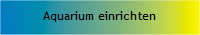 Aquarium einrichten