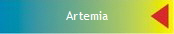 Artemia