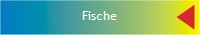 Fische
