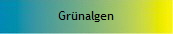 Gr�nalgen