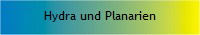 Hydra und Planarien