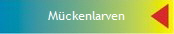 M�ckenlarven