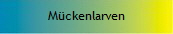 M�ckenlarven