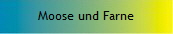 Moose und Farne