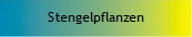 Stengelpflanzen