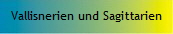 Vallisnerien und Sagittarien